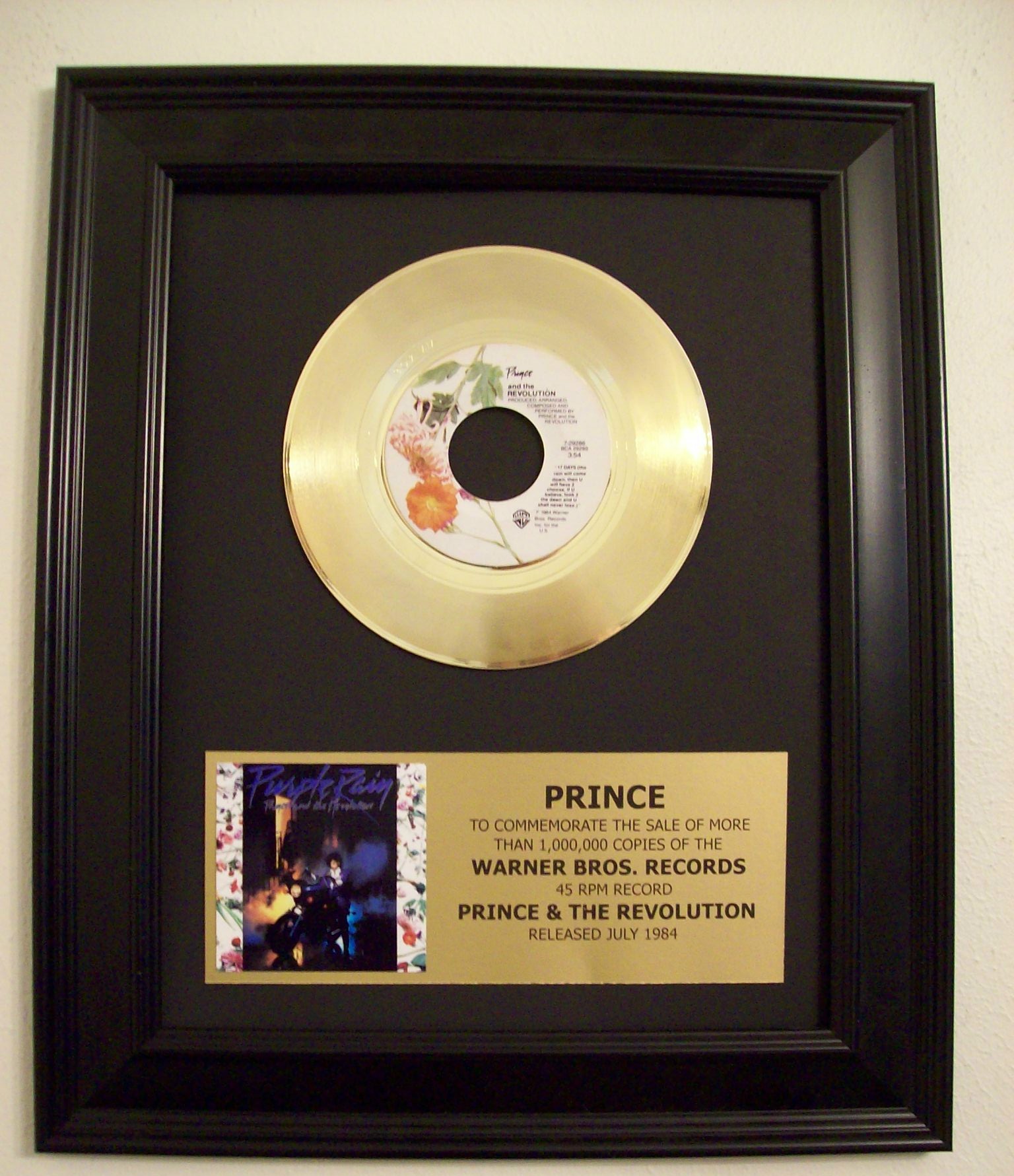 Image for Prince and the Revolution