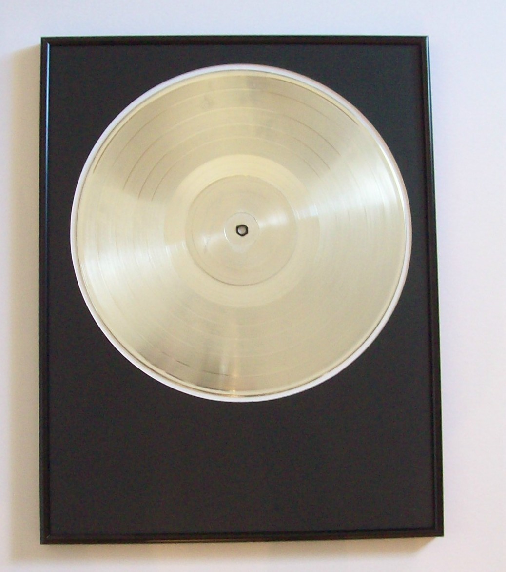 Image for Blank Platinum LP Album To Custom DIY Award Trophy